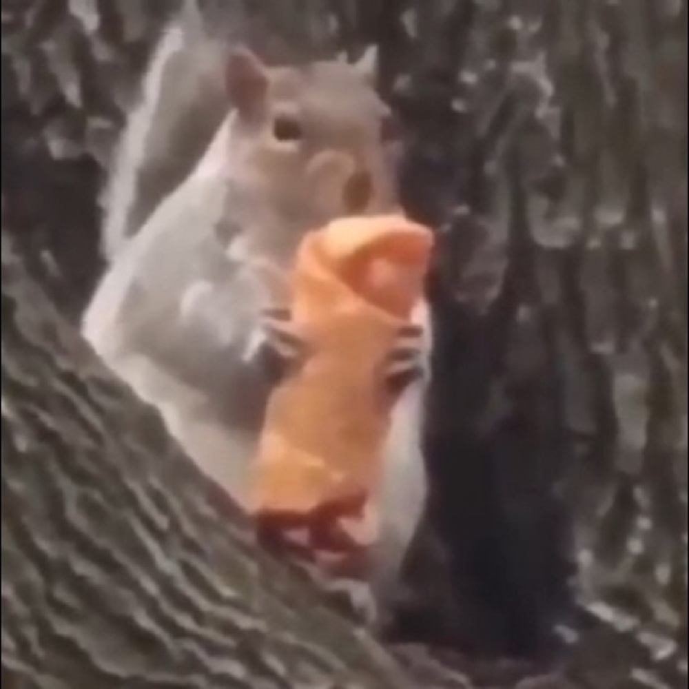 Meet your Posher, Aria